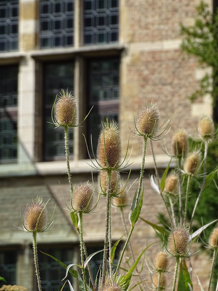 Dsc03300