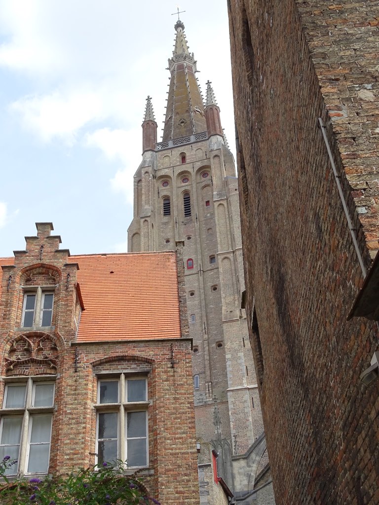 Dsc03550