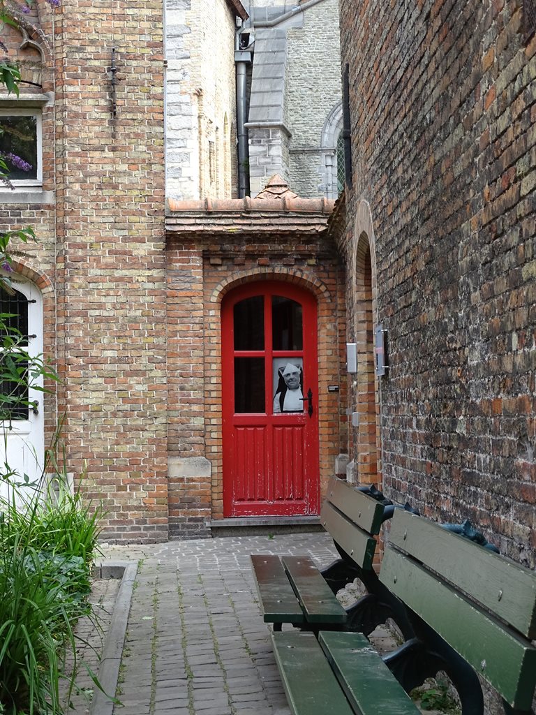 Dsc03552