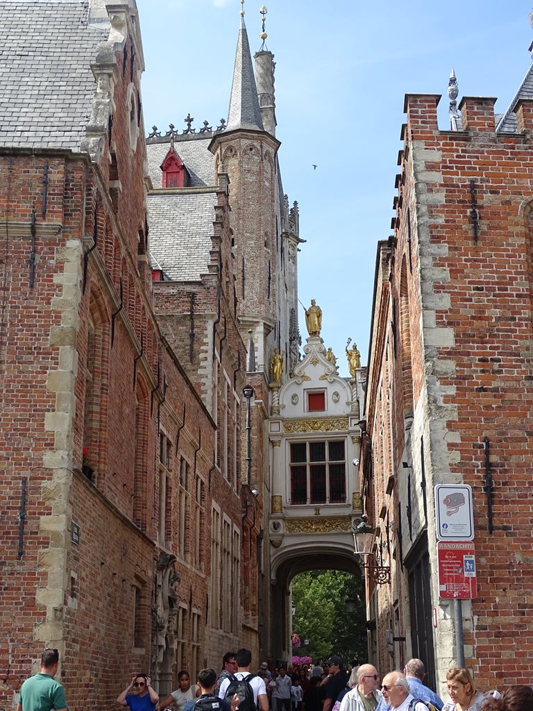 Dsc03619