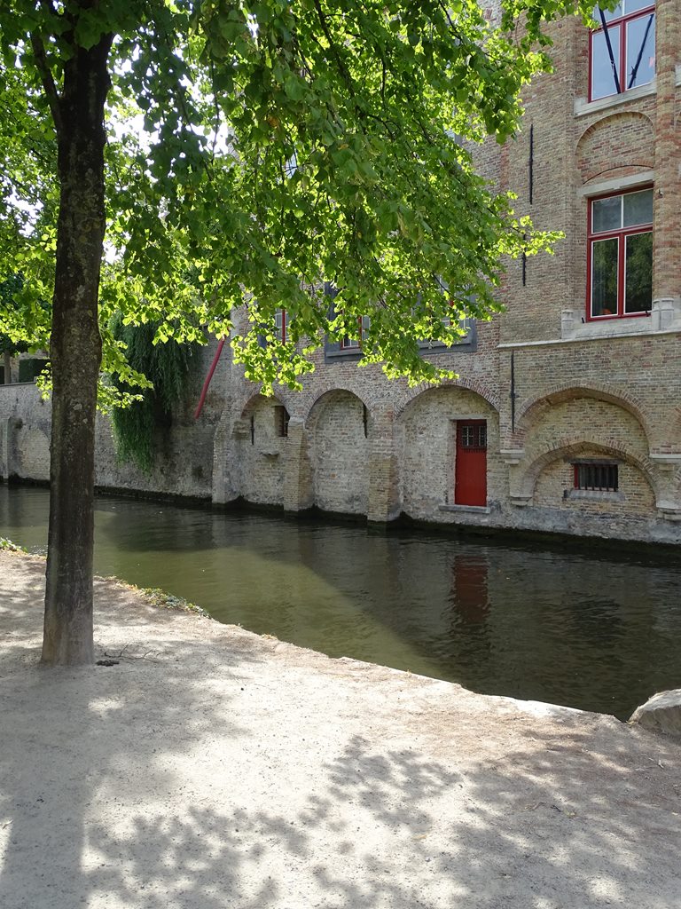 Dsc03676