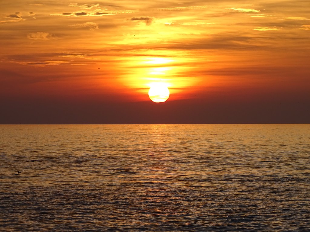 Dsc03715