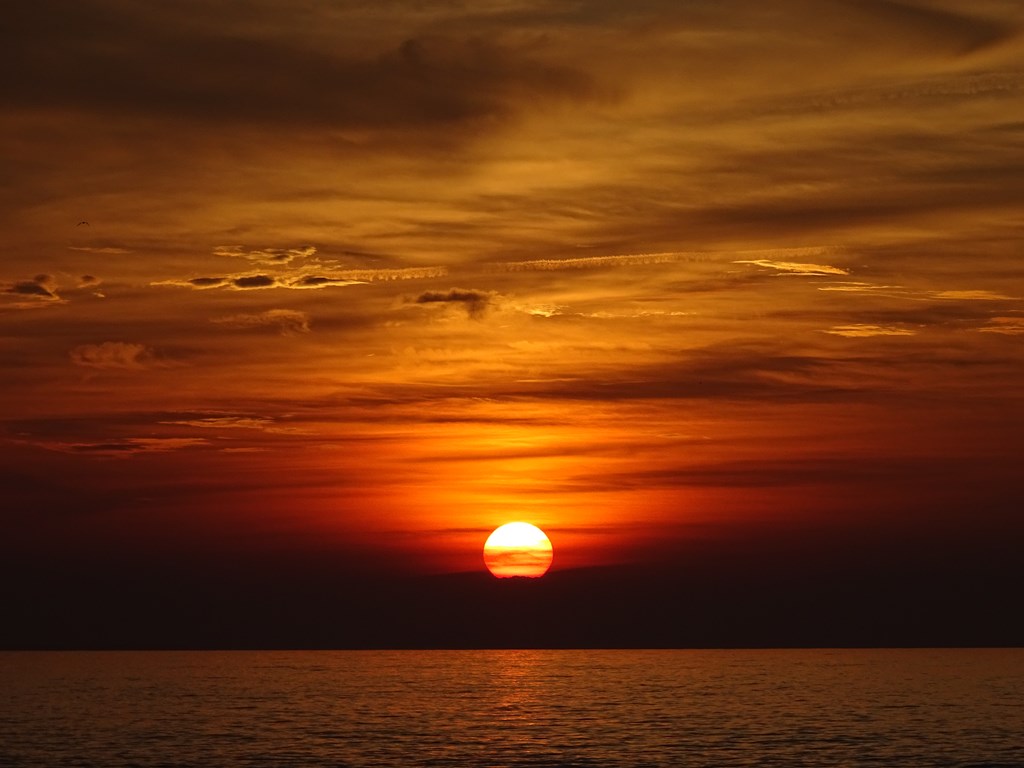 Dsc03716