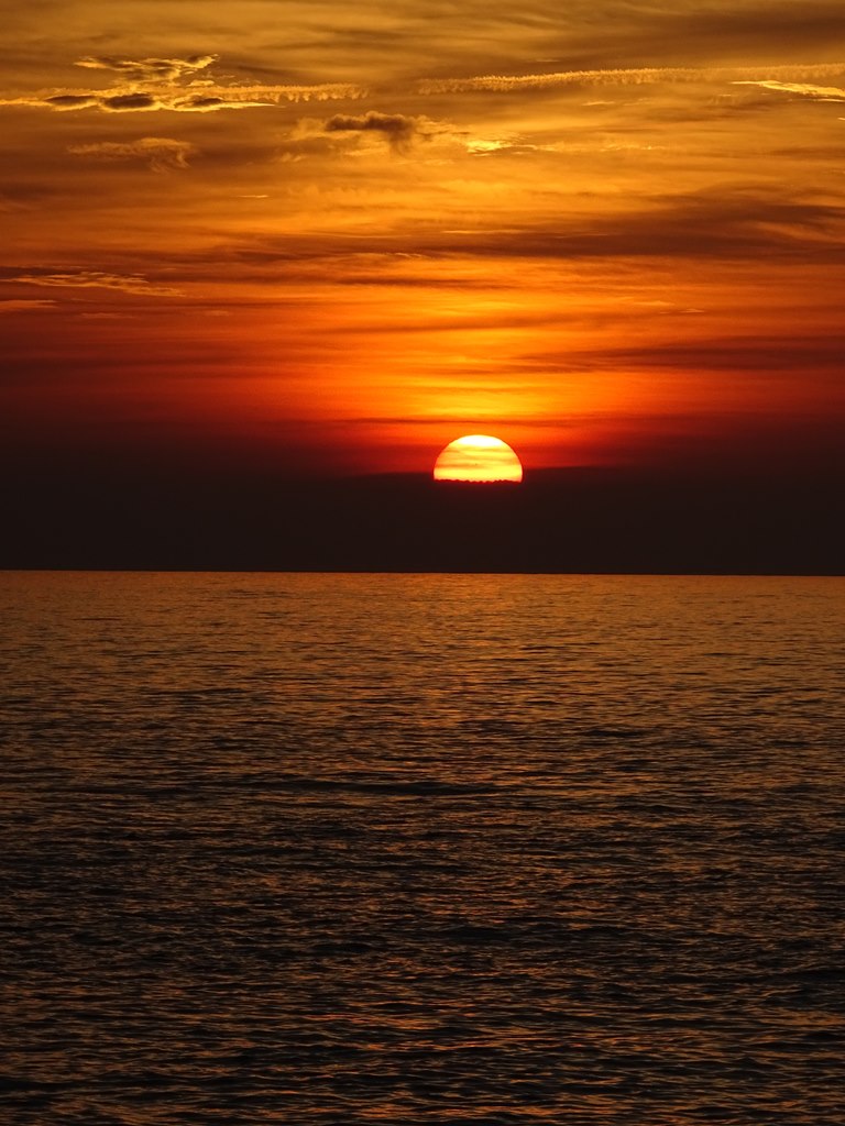 Dsc03721