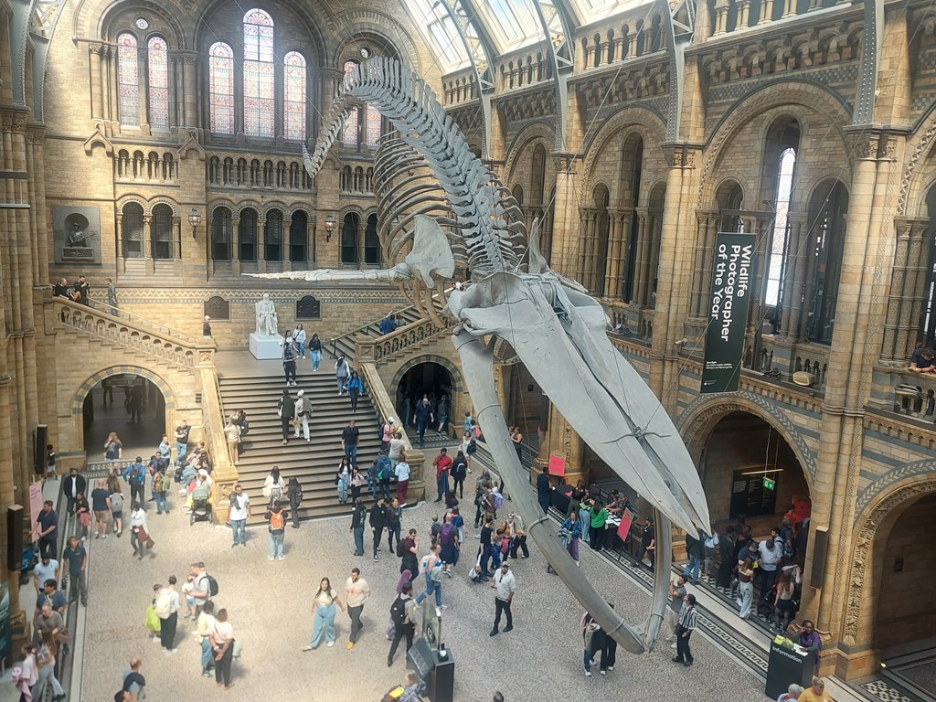 20250525 133043